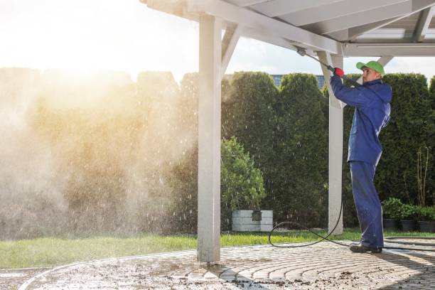 Best Solar Panel Cleaning  in Sauk Centre, MN