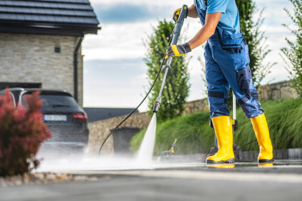 Best Fence Cleaning  in Sauk Centre, MN
